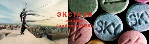 индика Бугульма