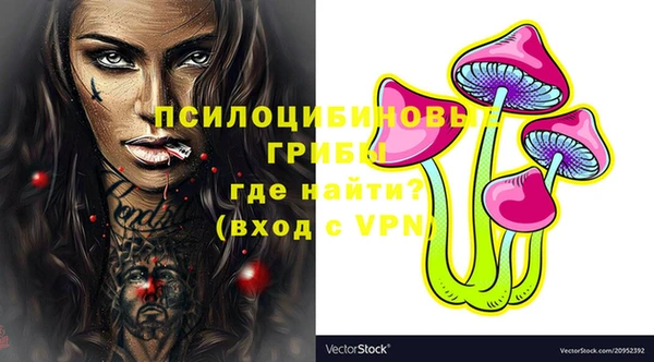 герыч Бронницы
