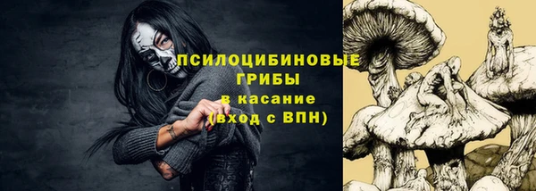герыч Бронницы