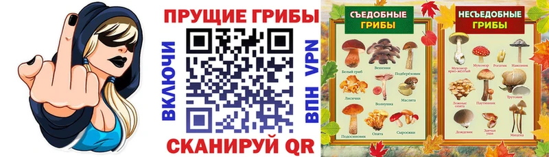 мега как зайти нарко площадка состав Галлюциногенные грибы MAGIC MUSHROOMS Новосокольники